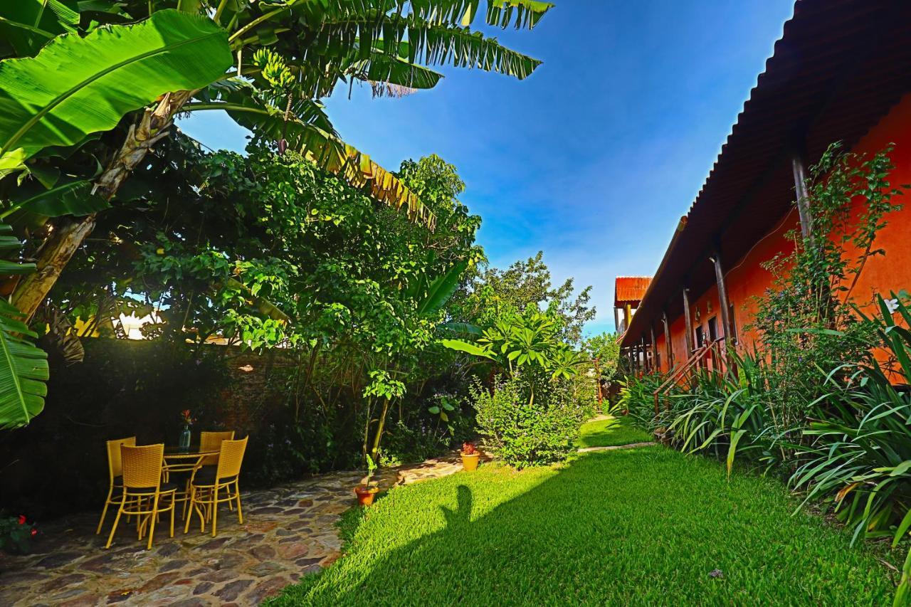 Buddy'S Hostel & Pousada Alto Paraiso Alto Paraíso de Goiás المظهر الخارجي الصورة