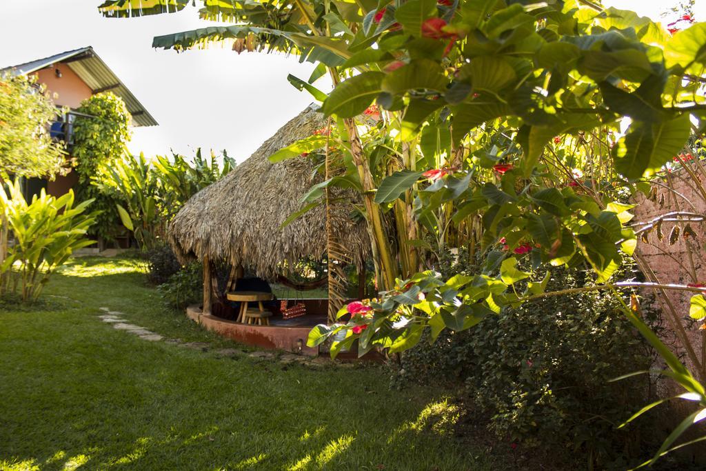 Buddy'S Hostel & Pousada Alto Paraiso Alto Paraíso de Goiás المظهر الخارجي الصورة