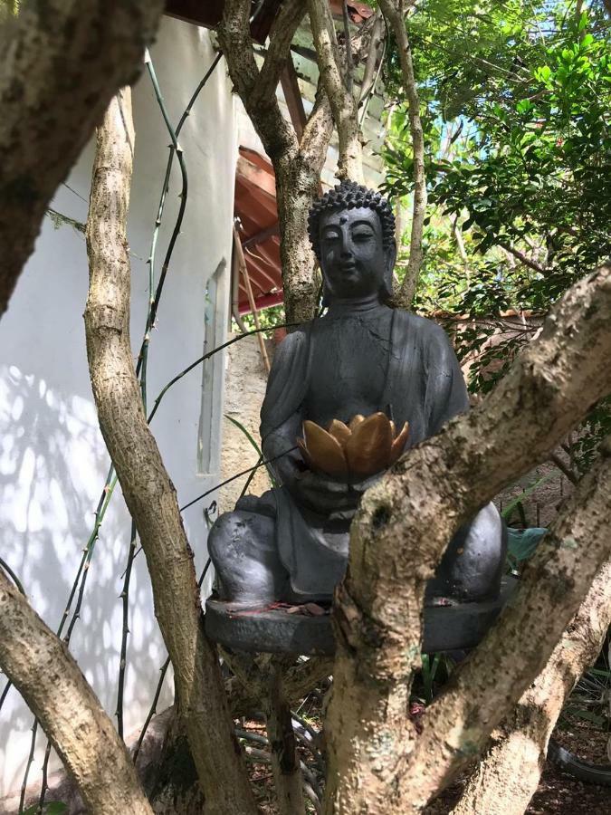 Buddy'S Hostel & Pousada Alto Paraiso Alto Paraíso de Goiás المظهر الخارجي الصورة